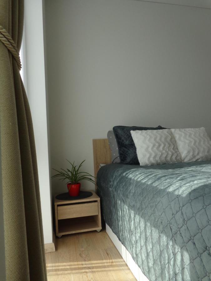 Elzbietos Centro Apartamentai VNO Eksteriør billede
