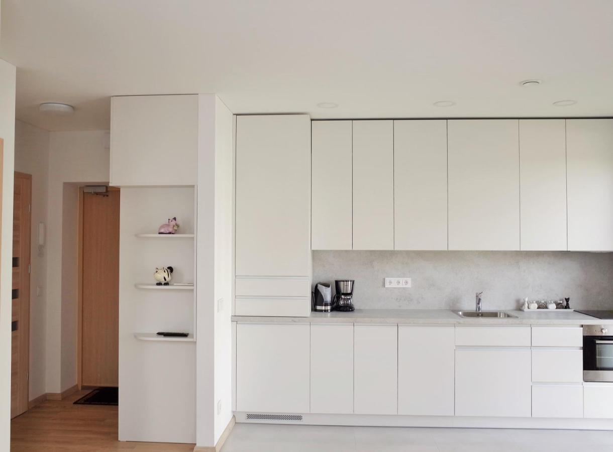 Elzbietos Centro Apartamentai VNO Eksteriør billede