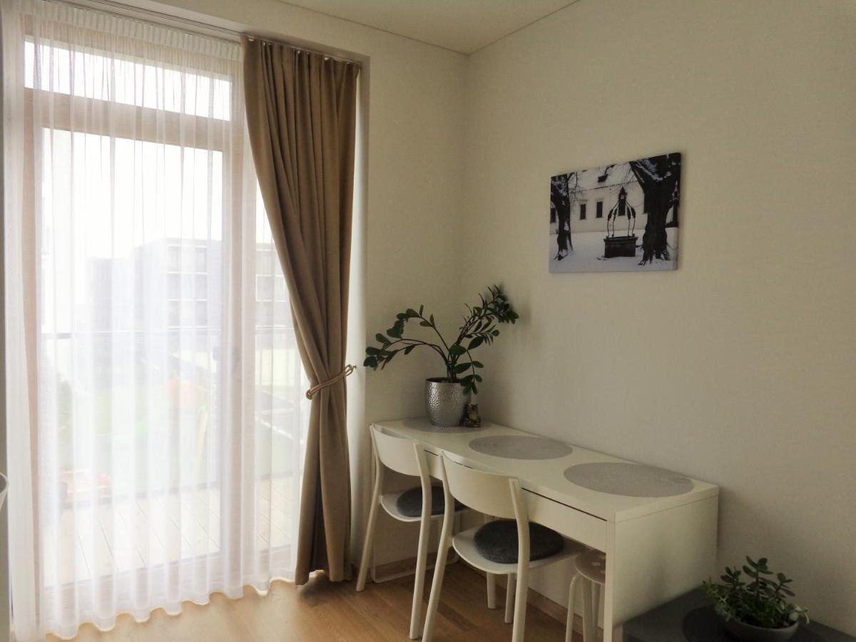 Elzbietos Centro Apartamentai VNO Eksteriør billede